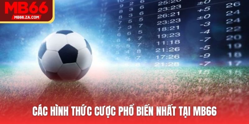 Các hình thức cược phổ biến nhất tại MB66