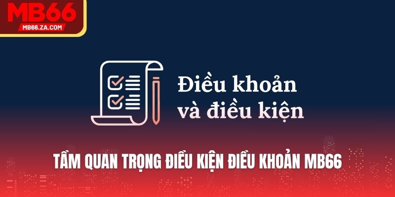 Tầm quan trọng điều kiện điều khoản MB66