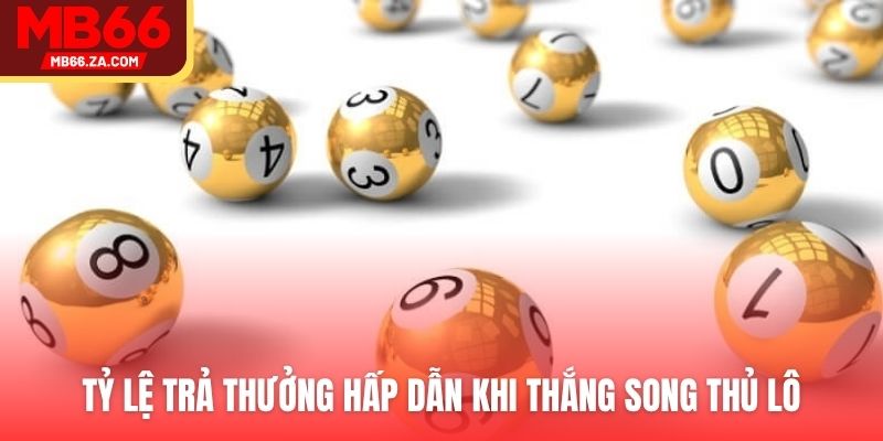Tỷ lệ trả thưởng hấp dẫn khi thắng song thủ lô